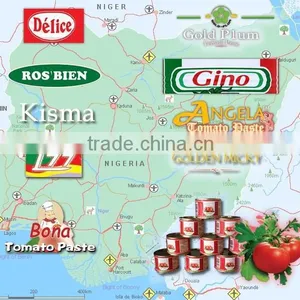 NAFDAC Tomato Paste Brix 28-30% Canned 70g - 4500g High Quality for Nigerian High End Buyer Market thumbnail-1