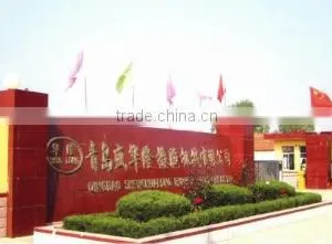 Qingdao Shenghualong Rubber Machinery Co., Ltd. company overview - view 2 thumbnail