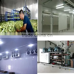 D Series Air Coolers for Cold Room thumbnail-1