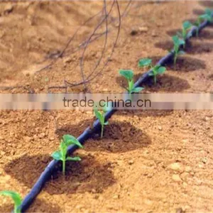 Drip Irrigation Line. 0.25mm Thickness +30CM SPACE. thumbnail-5