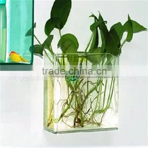 Fish Small Fish Tanks Aquarium thumbnail-4