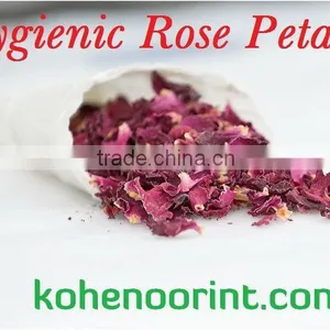 Dry Red Rose thumbnail-4