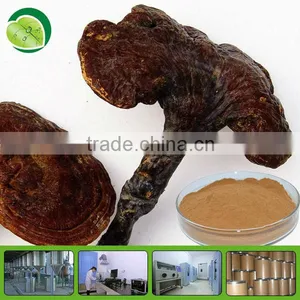 Organic Reishi Ganoderma Polysaccharide thumbnail-1