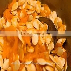Pumpkin Seed Oil (Cucurbita Pepo) thumbnail-1