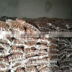 Chinese Raw Chestnuts thumbnail-3