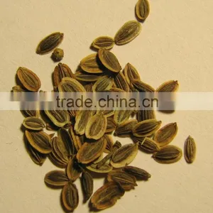 Dill Seed thumbnail-2