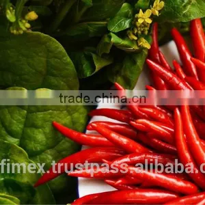 HACCP/HALAL/KOSHER/FDA RED DRY CHILLI thumbnail-4