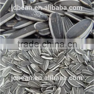 The Lowest Price Of Sunflower Seeds 5009 With High Quality thumbnail-5