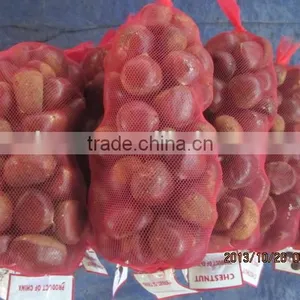 Fresh Sweet Chestnut for Sales thumbnail-5