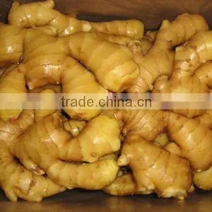 Fresh Ginger 2013 thumbnail-1