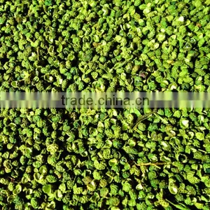 China New Products Szechuan Peppers Innovative Products for Import thumbnail-4