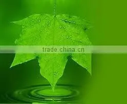 Herbal Extracts thumbnail-1