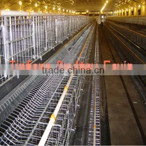 Chicken Breeding Cage thumbnail-1