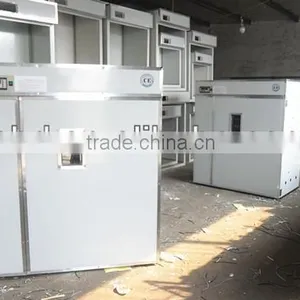 HOT Sale Poultry Machine Automatic Used Chicken Egg Incubator for Sale Chicken Egg Incubator YZITE-16 thumbnail-4