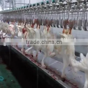 Full Set Poultry Slaughter Machine and Equipment 008618052092685 thumbnail-6