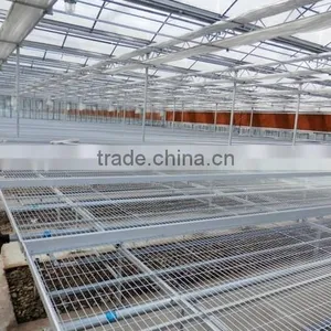 Greenhouse With Movable Seedbed thumbnail-1