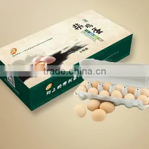 HT-D100 Automatic Egg Packing Machine From China thumbnail-3