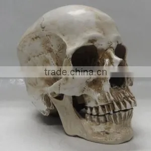 Halloween Decoration Carevd Resin Skull Sculpture thumbnail-1