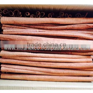 Cinnamomum Quilling thumbnail-1