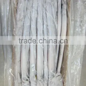 Frozen Belt Fish thumbnail-2