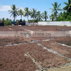 Sell Gracilaria, Eucheuma Spinosum And Eucheuma Cottoni Seaweeds thumbnail-1