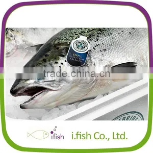 Atlantic Salmon thumbnail-1