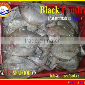 FROZEN W/R BLACK POMFRET thumbnail-1