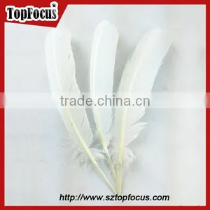 Dyed Bulk Imitation Wholesale Feathers for Carnival Costumes for Sale thumbnail-3