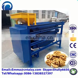 Walnut Processing Machine Walnut Sorting Machine Hazelnuts Sorter Machine thumbnail-5