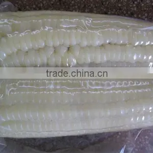 Best Quality Frozen White Sweet Corn From Vietnam thumbnail-2