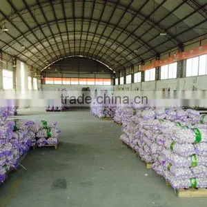 no Root Wholesale Chinese Garlic thumbnail-1