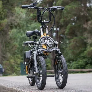 H-12-3R Perfect Foldable Electric Tricycle With 2 Seats For Adults 3 Wheels Electric Tricycle Manufacturers In China thumbnail-1