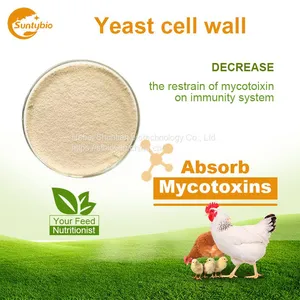 Yeast Cell Wall thumbnail-3