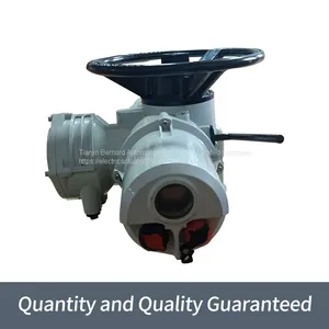 Rotoque Multi Rotary Gate Valve Device IQ35 Industrial Bus Electric Actuator thumbnail-2