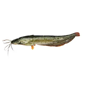 Frozen Fresh Whole Round Catfish Fish thumbnail-1