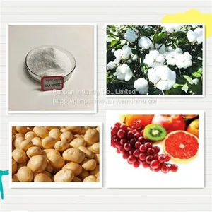 China Supplier Auxin Plant Growth Regulator Iaa 98%tc High Purity thumbnail-2