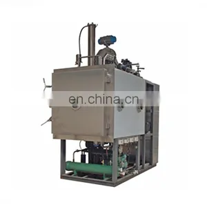Commercial Banana Chips Fruit Chips Vacuum Freeze Dryer thumbnail-3
