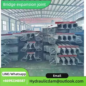 Trusted Global Supplier of High - Performance Bridge Expansion Joints: Ensuring Structural Integrity thumbnail-1