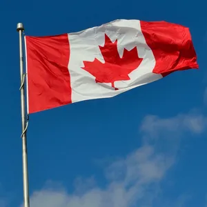 Sea, Air Services From China to Canada Amazon FBA Service DDP/DDU thumbnail-1