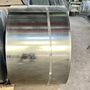 Z100 Cold Rolled Steel Coil/Color Coated Steel Coil/Galvanized Steel Coil for Building Material thumbnail-1