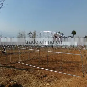 Roll Film Ventilation Plastic Tunnel Greenhouse thumbnail-3