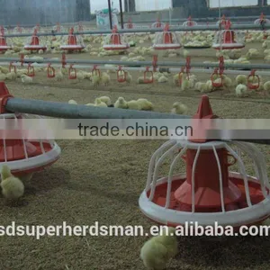 Broiler Feeding System thumbnail-2