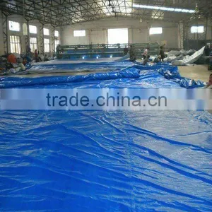 Qingdao Tarps thumbnail-1
