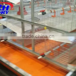 Poultry Equipment /poultry Auger Feeder/pultry Equipment Chicken Farm thumbnail-5