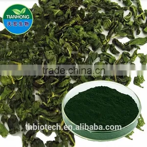 Manufacturer Pure Natural High Quality Chlorophyll Powder, Sodium Copper Chlorophyllin, Super Chlorophyll Powder thumbnail-1
