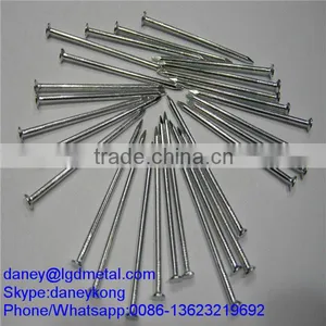 1.5", 2", 2.5", 3" Common Nail Iron Nail From Dingzhou Factory CN-033D thumbnail-1