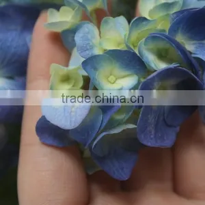 Fresh Factory Direct Flower Hydrangea thumbnail-4