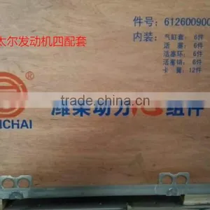 6126009000 Weichai Engine Parts WD618 Engine thumbnail-1