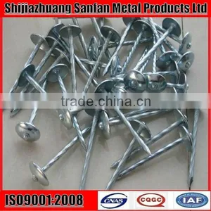 Ring Shank Zinc Galvanized Roofing Nail thumbnail-1