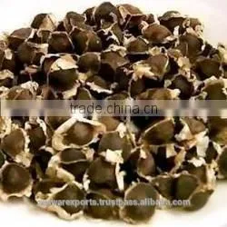 Best Supplier for Drumstick Seed thumbnail-4